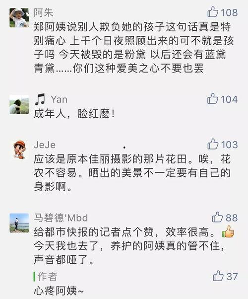 今日爆料快报在哪里看,今日爆料快报最新发布平台一览  第2张