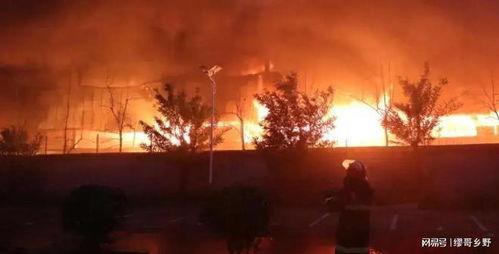 南阳爆料最新事件视频,视频揭露惊人真相，网友热议不断  第1张