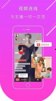 圈哥每日爆料直播视频下载,每日爆料视频精彩内容大盘点